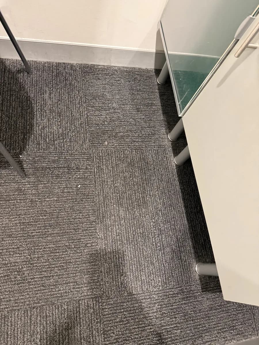 How to Remove Carpet Stains: A Practical Guide by Stain Type